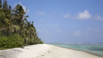 beach, local-island - Beautiful white sand beach lined with palm trees on the local island of Hulhumale in the Kaafu Atoll, Maldives.