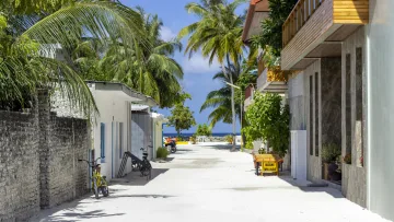 local-island - A sandy street with palm trees and buildings on Hulhumale local island in the Kaafu Atoll, sunny blue sky day.