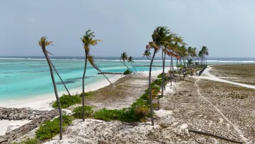 beach, bikini-beach, drone-shot, local-island, nature - Veduta aerea della soleggiata Bikini Beach sull'isola di Huraa nell'atollo di Kaafu, con alte palme e acqua turchese.