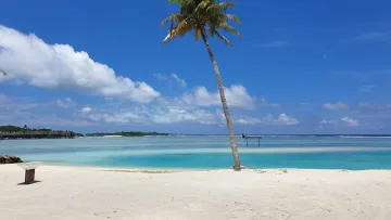 beach, bikini-beach, local-island - Una palma inclinata sulla spiaggia di sabbia bianca dell'isola di Huraa, atollo di Kaafu, con mare turchese e cielo blu.