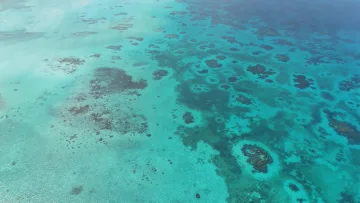 drone-shot, local-island, nature, reef, sea - An aerial drone view showing the crystal clear turquoise water and coral reef patterns near Kelaa island in Haa Alifu.
