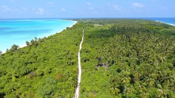 drone-shot, local-island, nature - Aerial drone view of a white sandy path cutting through the lush green palm forest of Kelaa Island, Haa Alifu Atoll.