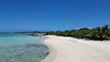 beach, bikini-beach, local-island - White sandy beach at Keyodhoo local island in Vaavu Atoll, featuring turquoise waters and sun loungers under trees.