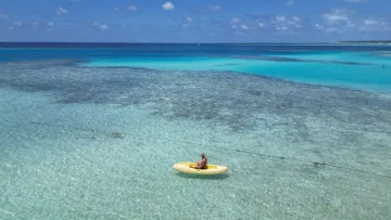 activity, drone-shot, local-island, people, sea - Aerial view of a man kayaking in crystal clear turquoise lagoon waters off Keyodhoo Island in Vaavu Atoll, Maldives