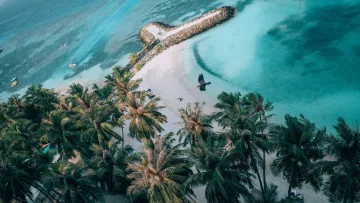 beach, bikini-beach, drone-shot, local-island, nature - Drone view looking down at the white sandy beach and palm trees of Maafushi Island, Kaafu Atoll, with turquoise water.