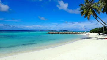 beach, bikini-beach, local-island - Sunny day at the Bikini Beach on Maafushi Island, Kaafu Atoll, featuring white sand, palm trees and turquoise sea.