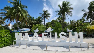 local-island - Large white Maafushi lettering sign on the local island of Maafushi in the Kaafu Atoll, surrounded by palm trees.