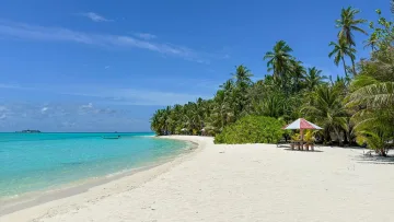 White sandy beach on Mathiveri local island in Alifu Alifu Atoll with palm trees, blue ocean and a sun umbrella.