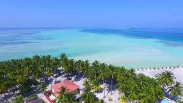 beach, drone-shot, local-island - Prospettiva aerea della spiaggia sabbiosa e palme sull'isola di Mathiveri nell'atollo di Ari Nord con acque turchesi
