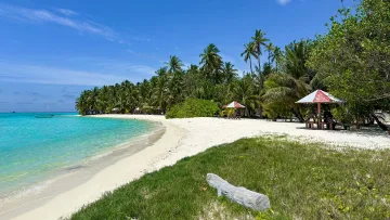 beach, bikini-beach, local-island, nature - Spiaggia di sabbia bianca con palme e ombrelloni sull'isola locale di Mathiveri, atollo di Alifu Alifu alle Maldive.