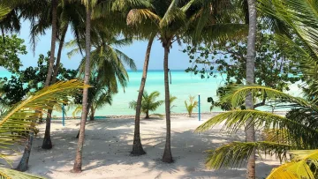 beach, local-island, nature - Vista sull'oceano turchese da una spiaggia sabbiosa con palme sull'isola di Mathiveri, atollo di Alifu Alifu, Maldive.