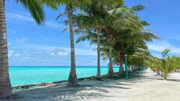 local-island, nature - Sentiero panoramico con palme lungo la spiaggia turchese dell'isola di Mathiveri, atollo di Alifu Alifu, Maldive, sotto un cielo blu.