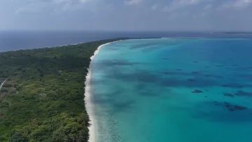 beach, drone-shot, local-island, sea - Vista aerea della costa lussureggiante e della laguna turchese di Nolhivaranfaru nell'atollo di Haa Dhaalu, Maldive.