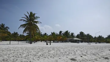 beach, facilities, local-island - Spiaggia di sabbia bianca sull'isola di Nolhivaranfaru, atollo di Haa Dhaalu, con palme e campo da beach volley.