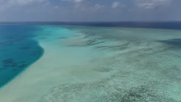 drone-shot, local-island, sea - Veduta aerea della barriera corallina turchese e laguna cristallina di Nolhivaranfaru, Atollo di Haa Dhaalu, Maldive.