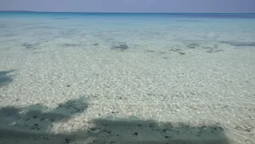 bikini-beach, local-island, sea - Splendide acque cristalline e basse sull'isola di Nolhivaranfaru, atollo di Haa Dhaalu, sotto un cielo estivo.