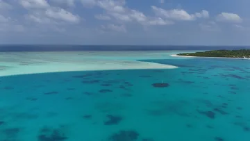 drone-shot, local-island, nature, sea - Veduta aerea della splendida laguna turchese e della vegetazione rigogliosa dell'isola di Nolhivaranfaru, atollo di Haa Dhaalu.