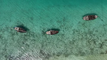 drone-shot, local-island, sea - Vista aerea di tre barche tradizionali in legno sulle acque turchesi di Nolhivaranfaru, atollo di Haa Dhaalu.