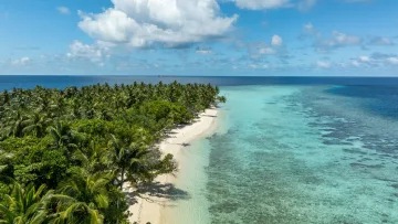 beach, drone-shot, local-island, nature, sea - Aerial drone shot of the lush green vegetation and white sand beach of Omadhoo Island in the Alifu Dhaalu Atoll Maldives.