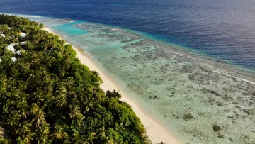 drone-shot, local-island, nature, reef, sea - Aerial view of Omadhoo local island in Alifu Dhaalu Atoll, showcasing the lush jungle and the vibrant coral reef.