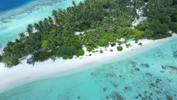 beach, drone-shot, local-island, nature - Aerial drone perspective of the tropical local island Omadhoo in Alifu Dhaalu Atoll, featuring lush vegetation and a white beach.