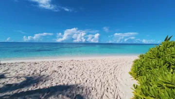 beach, bikini-beach, local-island, sea - Beautiful white sand beach on Omadhoo Island in Alifu Dhaalu Atoll, with turquoise crystal clear sea under a blue sky