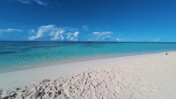 beach, bikini-beach, local-island, sea - View of the turquoise lagoon and pristine white beach on Omadhoo Island, Alifu Dhaalu Atoll, under a bright blue sky