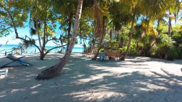 beach, local-island, nature - Wooden cart under palm trees on the white sandy beach of Omadhoo island, located in the Alifu Dhaalu Atoll, Maldives.
