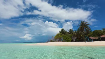 beach, local-island, nature, sea - Scenic view of a white sandy beach with lush palm trees on Omadhoo island in the Alifu Dhaalu atoll, Maldives.