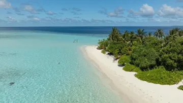 beach, bikini-beach, drone-shot, local-island, nature, sea - Aerial view of the beautiful turquoise lagoon and lush green vegetation on the bikini beach of Omadhoo, Alifu Dhaalu.