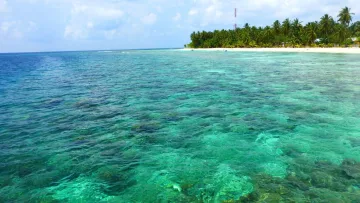 local-island, nature, reef, sea - View of the crystal clear turquoise water surrounding the local island of Omadhoo in the Alifu Dhaalu Atoll, Maldives.