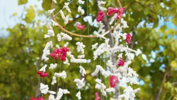 Artistic hanging decoration made with red and white sea coral fragments on Omadhoo island, Alifu Dhaalu atoll.