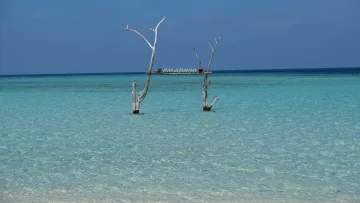 beach, local-island, sea - A wooden swing sign hanging from two bleached tree trunks standing in the clear turquoise sea of Omadhoo island, Alifu Dhaalu Atoll.