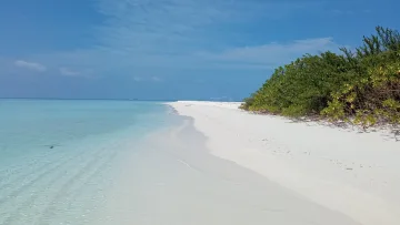 beach, local-island, nature, sea - Panoramic view of a pristine white sandbank beach in Omadhoo, Alifu Dhaalu Atoll, with lush green tropical vegetation.