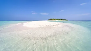 beach, local-island, nature, sea - A beautiful white sandbank stretching into the turquoise lagoon of Omadhoo island in Alifu Dhaalu atoll, Maldives.