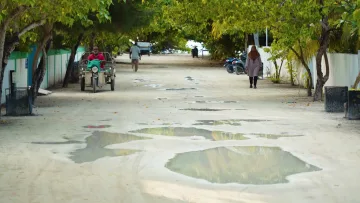 local-island, people - A sandy street on Omadhoo island in Alifu Dhaalu Atoll, with a man on a cargo tricycle, pedestrians and puddles.