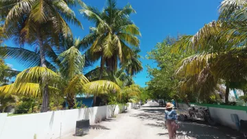 local-island, nature, people - A woman with a straw hat walks down a sandy street lined with tall palm trees on the local island of Omadhoo, Alifu Dhaalu Atoll.