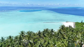 drone-shot, local-island, nature, sea - Splendida veduta aerea con drone della laguna turchese, spiaggia bianca e palmeto a Rakeedhoo, atollo di Vaavu.
