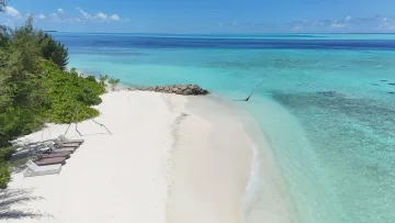 beach, drone-shot, local-island, sea - Vista aerea della spiaggia di sabbia bianca dell'isola locale di Rakeedhoo nell'atollo di Vaavu, con lettini e acque turchesi.