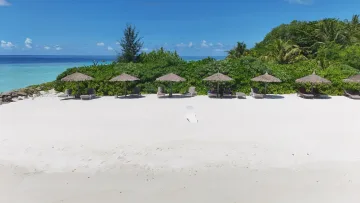 beach, bikini-beach, local-island, nature, relax - Veduta aerea di una spiaggia bikini con sabbia bianca, ombrelloni di paglia e lettini sull'isola di Rakeedhoo, Atollo Vaavu.