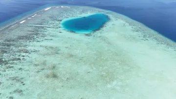 drone-shot, local-island, nature, reef, sea - Una splendida vista aerea con drone di un blue hole nel mare cristallino della barriera corallina vicino Rakeedhoo, atollo di Vaavu.