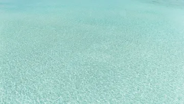 local-island, sea - Una vista dall'alto del mare trasparente e poco profondo attorno all'isola di Rakeedhoo, nell'atollo di Vaavu.