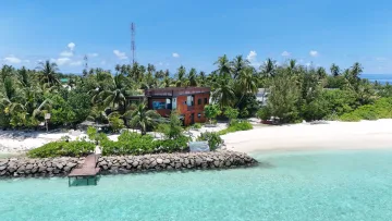 accommodation, beach, local-island, nature - Veduta aerea di una guesthouse in legno immersa tra palme rigogliose sull'isola di Rakeedhoo, Atollo di Vaavu.