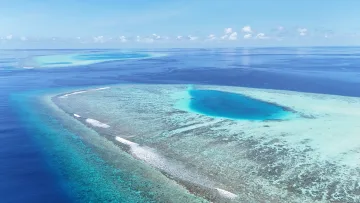 drone-shot, local-island, nature, reef - Splendida ripresa aerea della barriera corallina che circonda l'isola di Rakeedhoo nell'atollo di Vaavu, lagune cristalline
