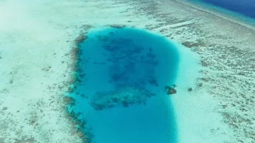 drone-shot, local-island, reef, sea - Ripresa aerea dall'alto di una laguna blu profondo circondata dalla barriera corallina turchese vicino Rakeedhoo, Vaavu.