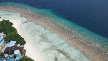 drone-shot, local-island, sea - Aerial drone shot of the coastline of Rasdhoo local island in North Ari Atoll with shallow turquoise lagoon water.