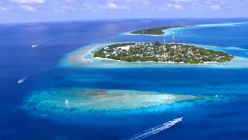 drone-shot, local-island, sea - Aerial drone shot of Rasdhoo local island in Alifu Alifu Atoll, Maldives, featuring boats in the turquoise lagoon.