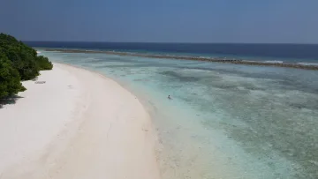 beach, bikini-beach, drone-shot, local-island, sea - Aerial view of the white sandy beach on the local island of Rasdhoo, North Ari Atoll with turquoise lagoon waters.