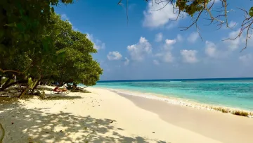 beach, bikini-beach, local-island, nature - A peaceful sunny day at the turquoise Bikini Beach on Rasdhoo Island in the Alifu Alifu Atoll with lush tropical trees