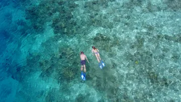 activity, drone-shot, local-island, reef, sea, snorkeling - Aerial view of a couple snorkeling in the clear turquoise waters of the Rasdhoo island house reef, Alifu Alifu Atoll